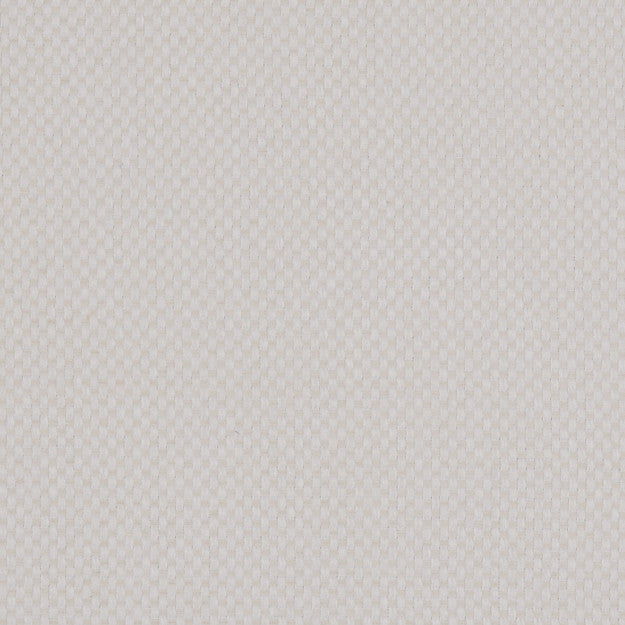 PEGASUS 92J5361 by JF Fabric WINNING WEAVES 100% Polyester TURKEY ABRASIO (HEAVY DUTY- 30,000+ DOUBLE RUBS) Horizontal: N/A and Vertical: N/A 55.00 - Fabric Carolina -
