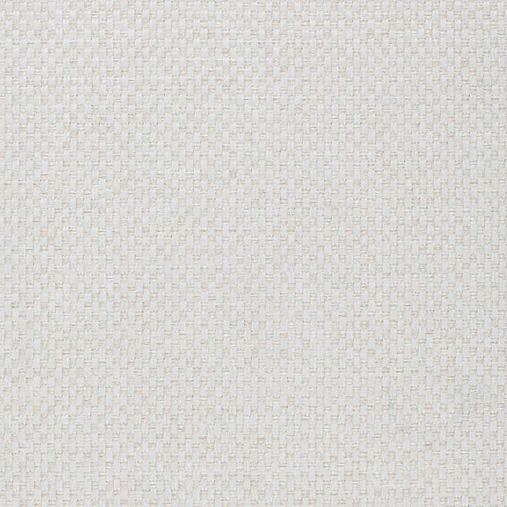 Pegasus 93J5361 by JF Fabric WINNING WEAVES 100% Polyester Turkey 75000 Horizontal: and Vertical: 55 - Fabric Carolina -