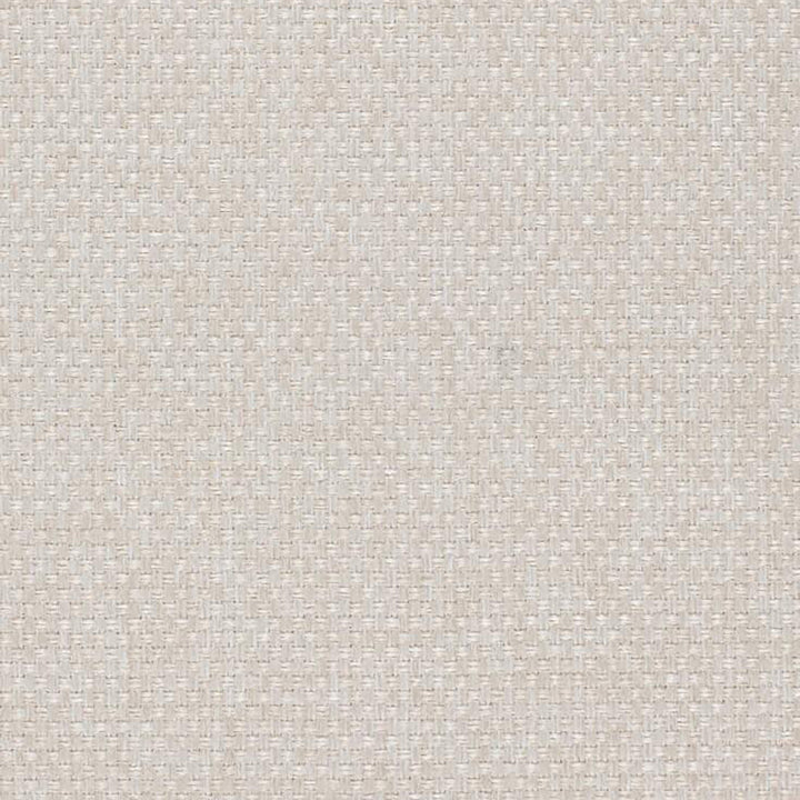 Pegasus 94J5361 by JF Fabric WINNING WEAVES 100% Polyester Turkey 75000 Horizontal: and Vertical: 55 - Fabric Carolina -