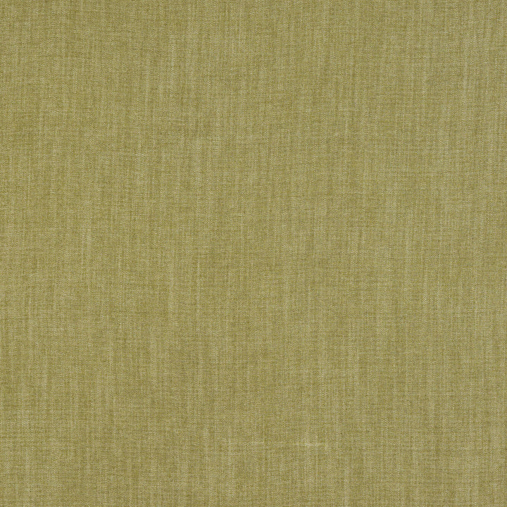 Penhurst 4 Grass by Marcus William Fabric PS/MARCUS WILLIAM FOUNTAINEBLEAU 50%POL 24%COT 14%LIN 12%SVI TURKEY Horizontal: 0.000 and Vertical: 0.000 54 in - Fabric Carolina -
