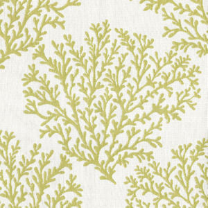 Penrose Fern by Norbar Fabric