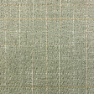 Percy Sage by Magnolia Fabric