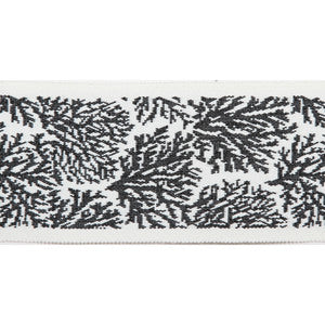 Pergola Coral Tape Black by Europatex Fabric