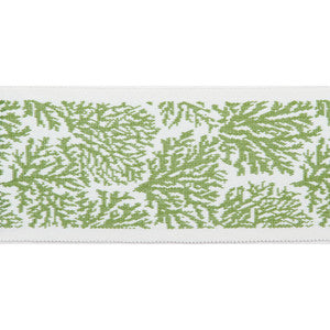 Pergola Coral Tape Lime by Europatex Fabric