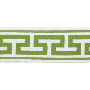 Pergola Embroidered Tape Lime by Europatex Fabric