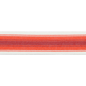 Pergola Striped Tape Cranberry by Europatex Fabric