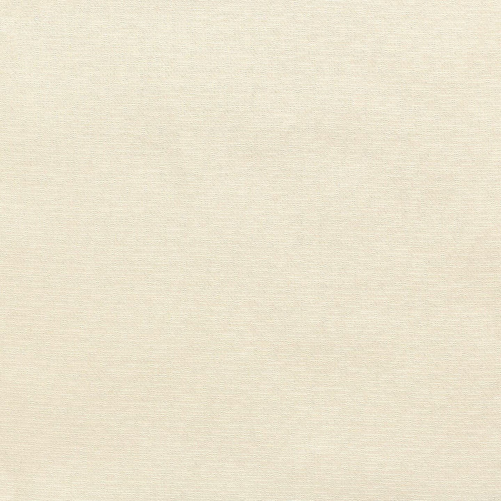Petra 2 Flax by Stout Fabric Stout Fabric Petra 2 FlaxFabric SHEER PLEASURE TURKEY </p><p>Repeat: H: 0.000, V: 0.000 118 in - Fabric Carolina -