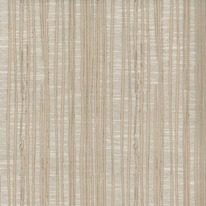 Petra Latte by Norbar Fabric