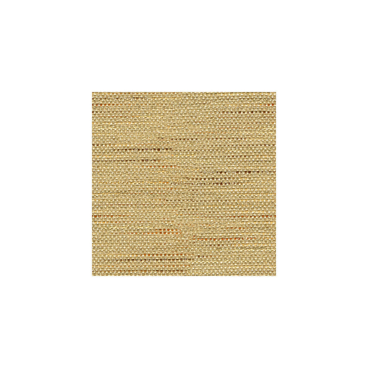 Satara Camel by Baker Lifestyle Fabric ECHO HEIRLOOM INDIA POLYESTER - 80%;COTTON - 20% China HEAVY Horizontal: and Vertical: 56 - Fabric Carolina -