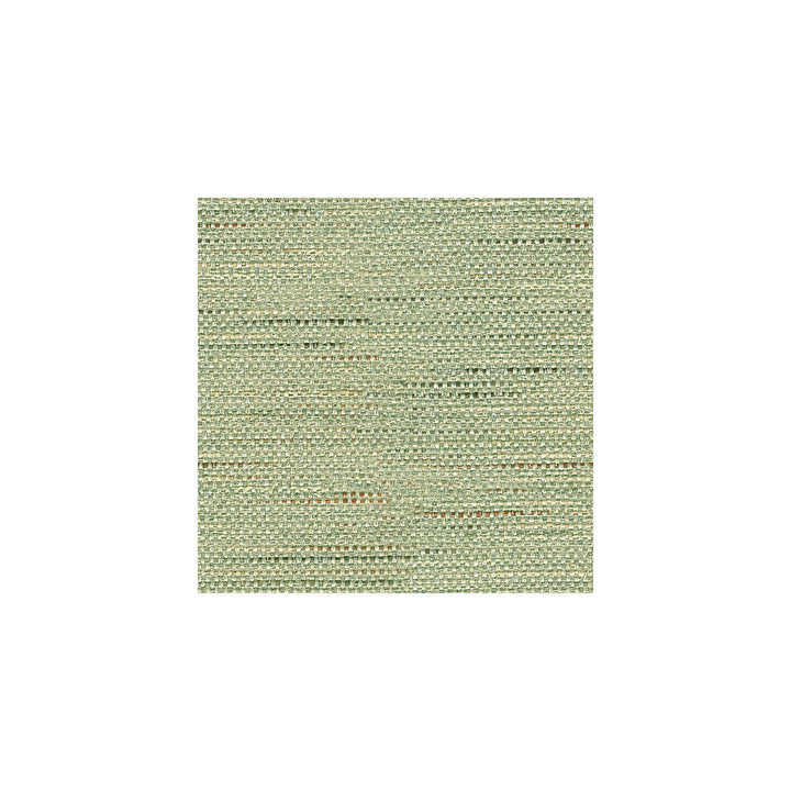 Satara Aqua by Baker Lifestyle Fabric ECHO II POLYESTER - 80%;COTTON - 20% China HEAVY Horizontal: - and Vertical: - 56 - Fabric Carolina -