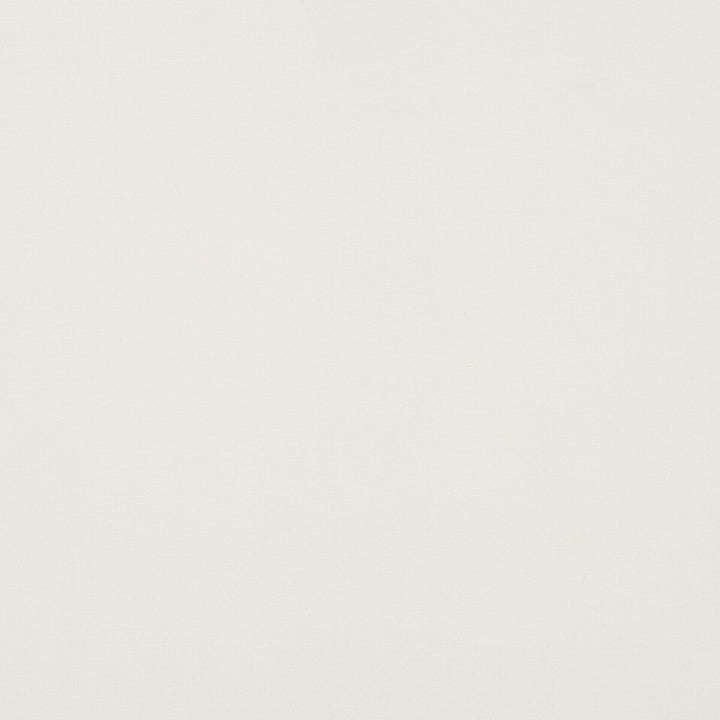 Fernshaw Ivory by Baker Lifestyle Fabric NOTEBOOKS POLYESTER - 100% China HEAVY Horizontal: and Vertical: 55.16 - Fabric Carolina -