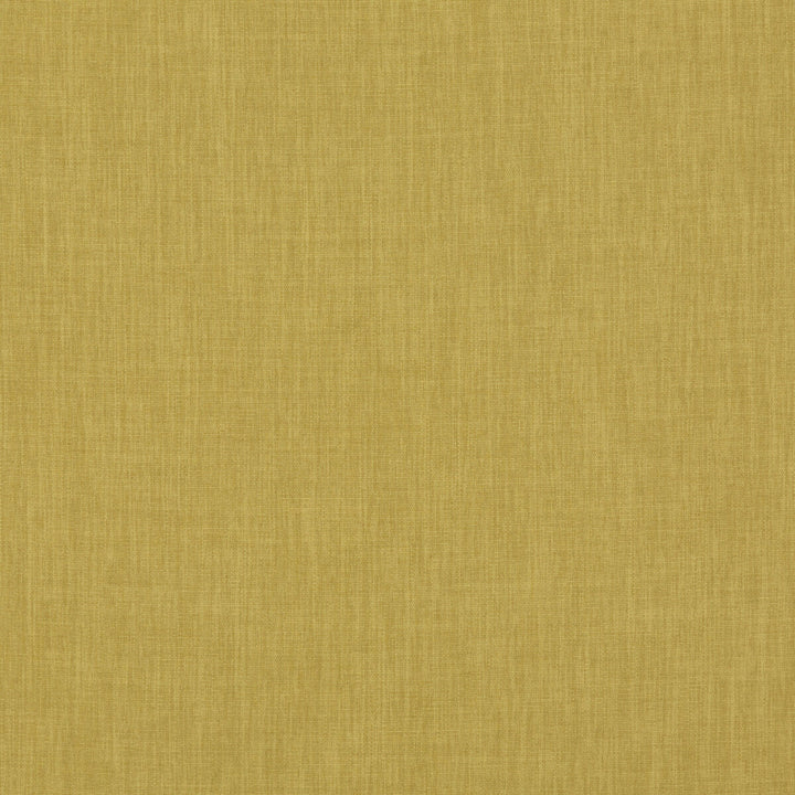 Fernshaw Citrus by Baker Lifestyle Fabric NOTEBOOKS POLYESTER - 100% China HEAVY Horizontal: - and Vertical: - 55.16 - Fabric Carolina -