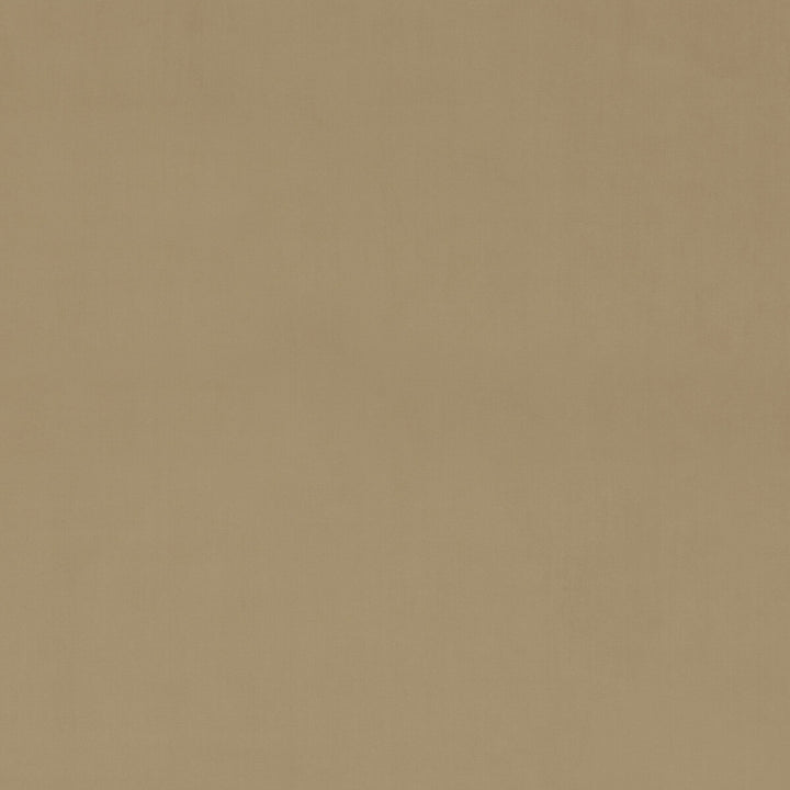 Milborne Camel by Baker Lifestyle Fabric NOTEBOOKS POLYESTER - 100% China HEAVY Horizontal: - and Vertical: - 56.342 - Fabric Carolina -