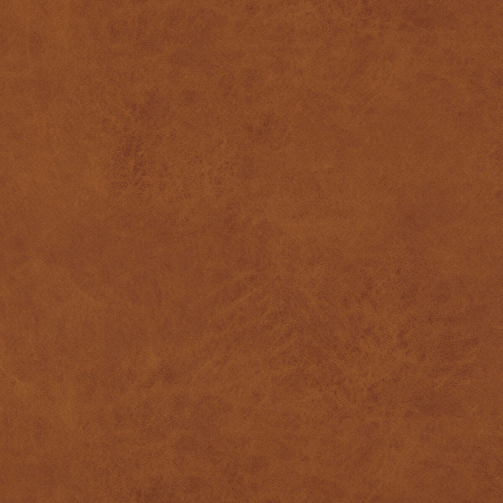 Lexham Amber by Baker Lifestyle Fabric NOTEBOOKS POLYESTER - 100% China HEAVY Horizontal: and Vertical: 55.16 - Fabric Carolina -