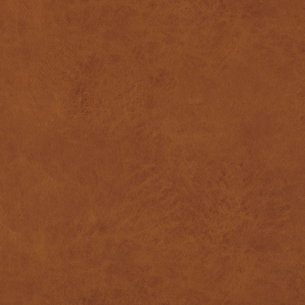 Lexham Amber by Baker Lifestyle Fabric NOTEBOOKS POLYESTER - 100% China HEAVY Horizontal: - and Vertical: - 55.16 - Fabric Carolina -