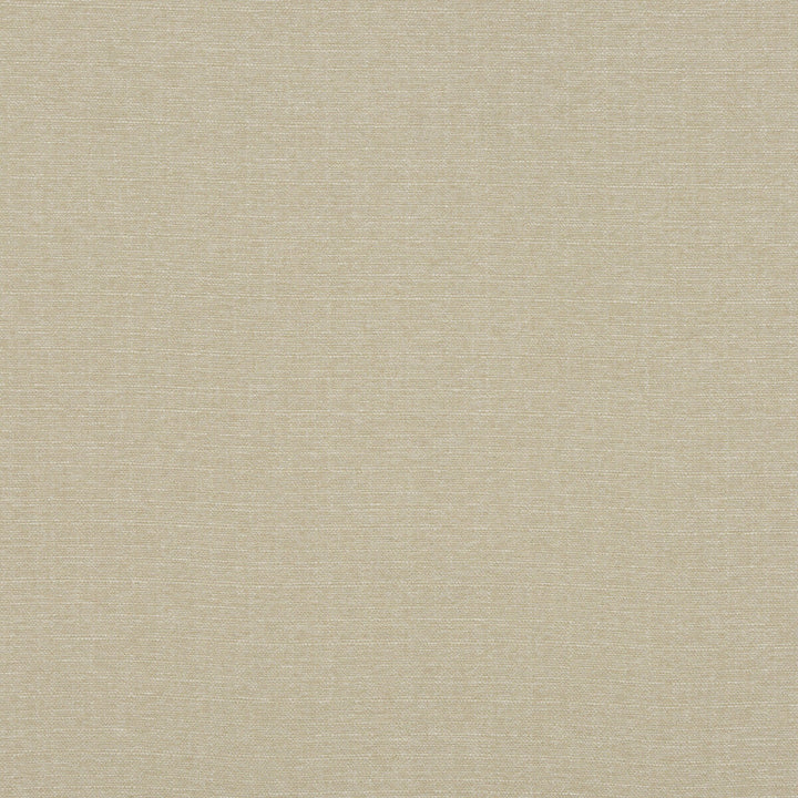Lansdowne Buff by Baker Lifestyle Designer Fabric NOTEBOOKS POLYESTER - 100% China HEAVY Horizontal: and Vertical: 55.16 - Swanky Fabrics -