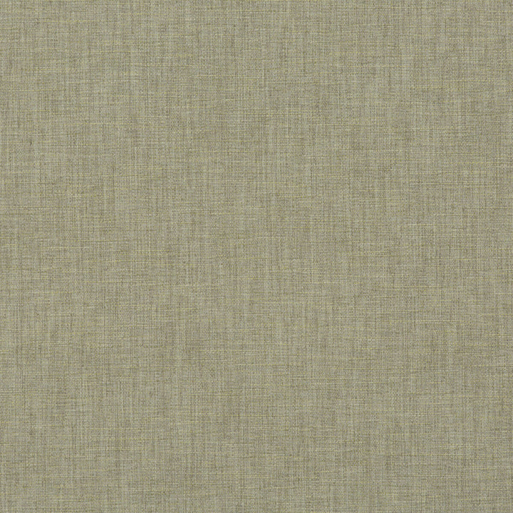 Kinnerton Lichen by Baker Lifestyle Designer Fabric NOTEBOOKS POLYESTER - 59%;ACRYLIC - 41% China HEAVY Horizontal: and Vertical: 55.16 - Swanky Fabrics -