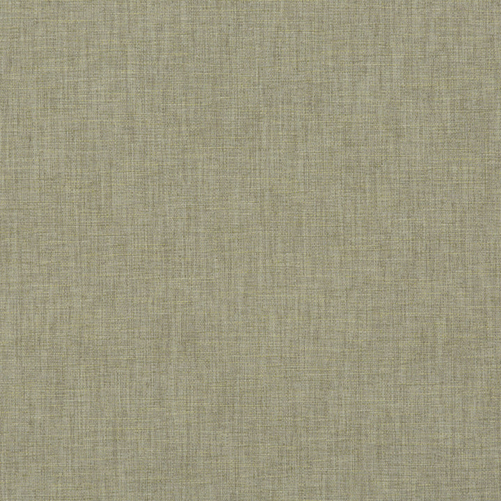 Kinnerton Lichen by Baker Lifestyle Fabric NOTEBOOKS POLYESTER - 59%;ACRYLIC - 41% China HEAVY Horizontal: and Vertical: 55.16 - Fabric Carolina -