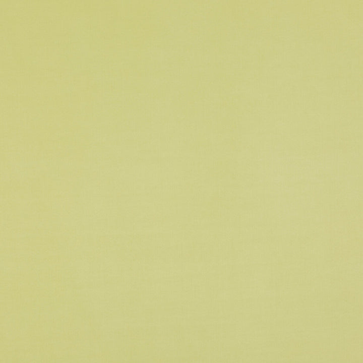 Maddox Pistachio by Baker Lifestyle Fabric NOTEBOOKS POLYESTER - 100% China HEAVY Horizontal: and Vertical: 55.16 - Fabric Carolina -