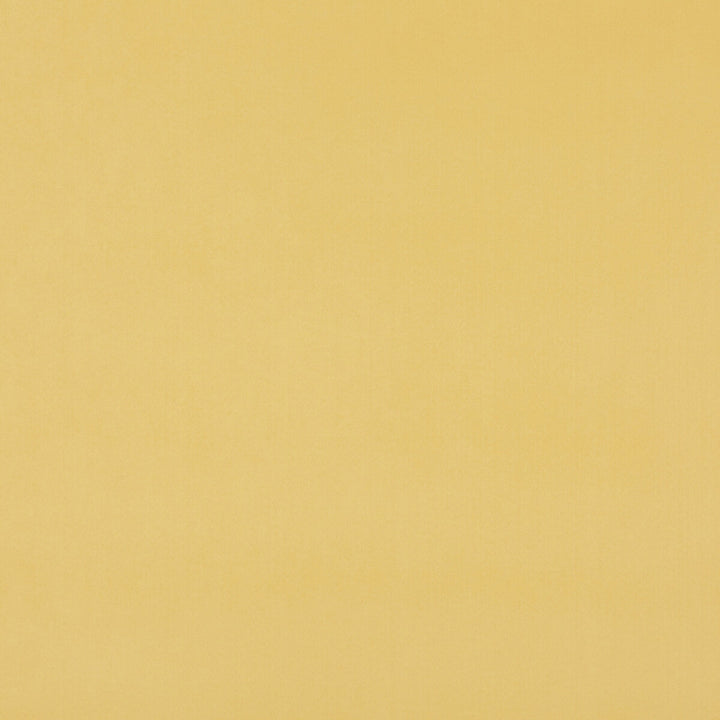 Maddox Sunshine by Baker Lifestyle Fabric NOTEBOOKS POLYESTER - 100% China HEAVY Horizontal: - and Vertical: - 55.16 - Fabric Carolina -