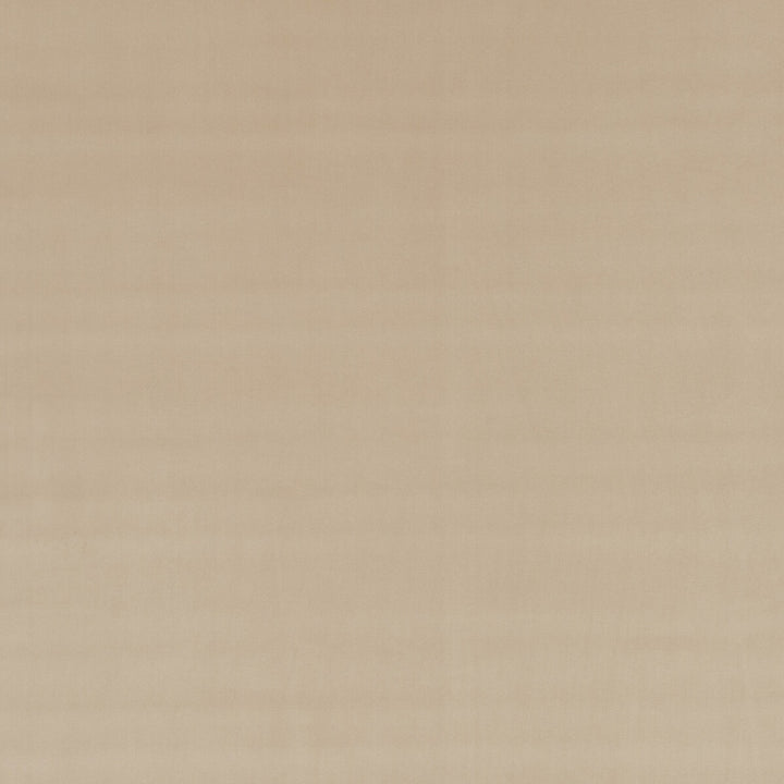 Montpellier Velvet Sand by Baker Lifestyle Fabric CARNIVAL POLYESTER - 100% China HEAVY Horizontal: - and Vertical: - 53.978 - Fabric Carolina -