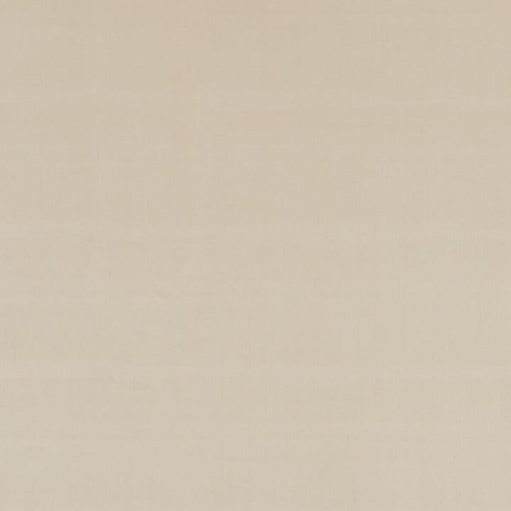 Montpellier Velvet Oatmeal by Baker Lifestyle Fabric CARNIVAL POLYESTER - 100% China HEAVY Horizontal: and Vertical: 55.16 - Fabric Carolina -