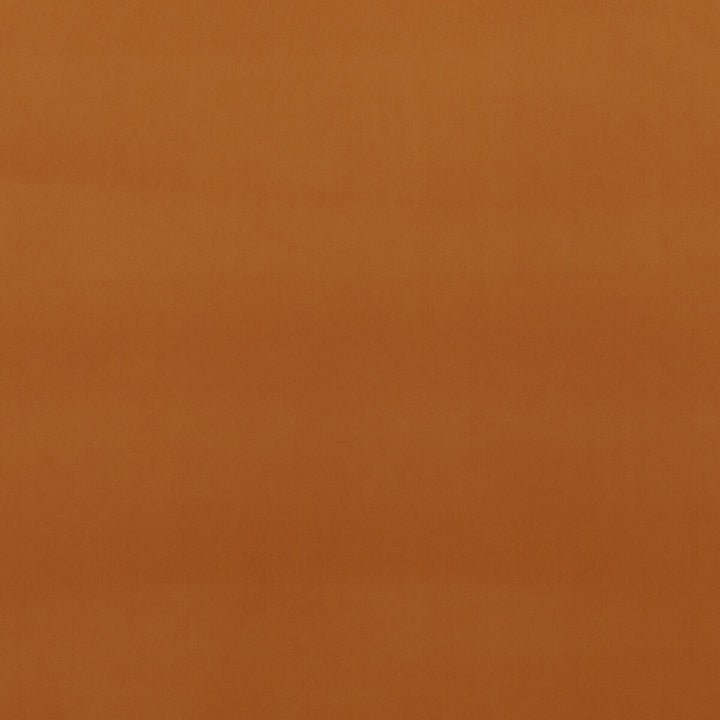 Montpellier Velvet Spice by Baker Lifestyle Fabric CARNIVAL POLYESTER - 100% China HEAVY Horizontal: - and Vertical: - 55.16 - Fabric Carolina -