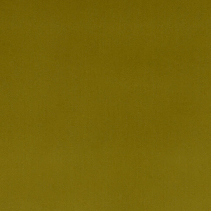 Montpellier Velvet Moss by Baker Lifestyle Fabric Baker Lifestyle Fabric Montpellier Velvet MossFabric CARNIVAL POLYESTER - 100% China </p><p>Repeat: H: , V: 55.16 - Fabric Carolina -