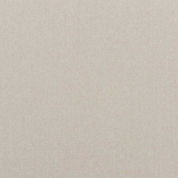 Carnival Plain Pumice by Baker Lifestyle Fabric CARNIVAL POLYESTER - 54%;COTTON - 46% India - Horizontal: - and Vertical: - 55.16 - Fabric Carolina -