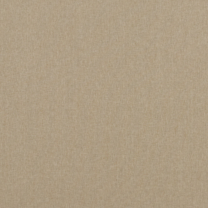 Carnival Plain Hemp by Baker Lifestyle Fabric CARNIVAL POLYESTER - 54%;COTTON - 46% India - Horizontal: - and Vertical: - 55.16 - Fabric Carolina -