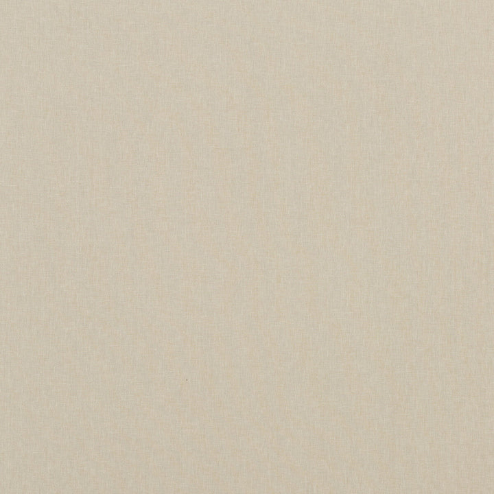 Carnival Plain Oatmeal by Baker Lifestyle Designer Fabric CARNIVAL POLYESTER - 54%;COTTON - 46% India HEAVY Horizontal: and Vertical: 55.16 - Swanky Fabrics -