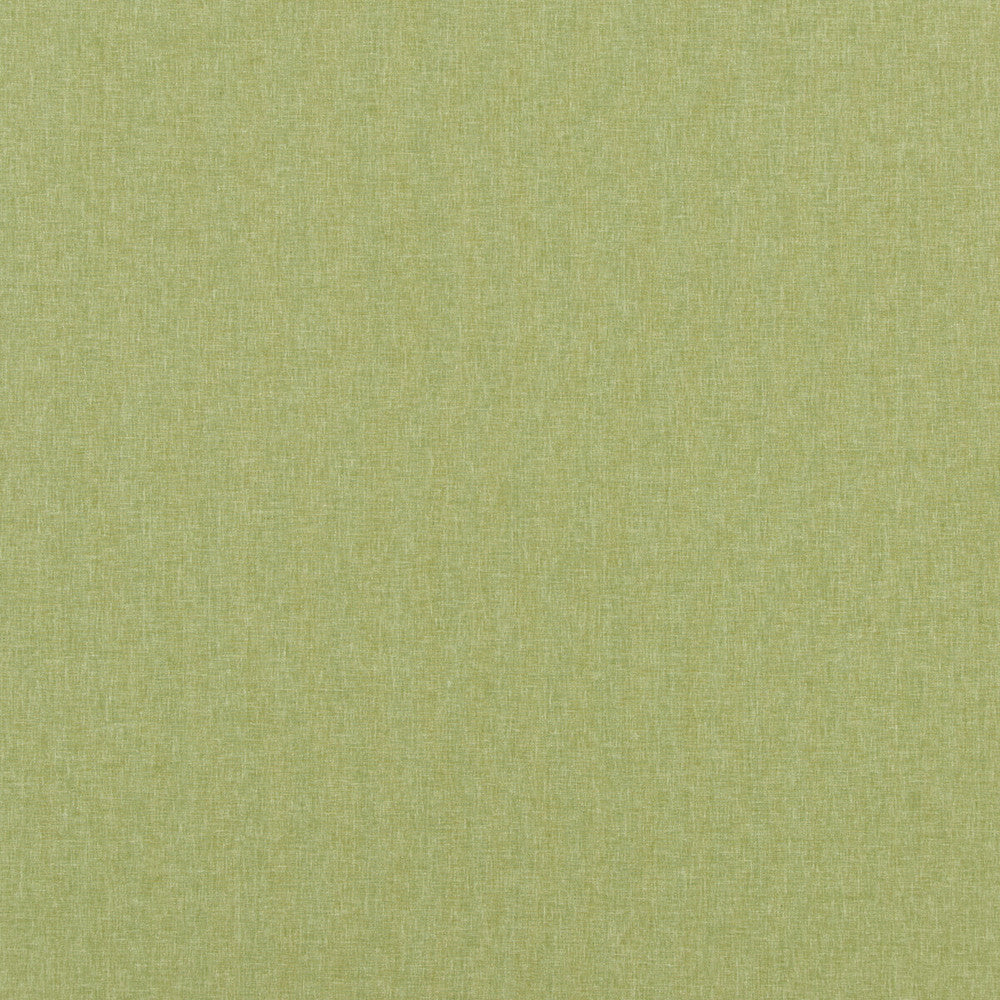 Carnival Plain Grass by Baker Lifestyle Fabric CARNIVAL POLYESTER - 54%;COTTON - 46% India HEAVY Horizontal: and Vertical: 55.16 - Fabric Carolina -