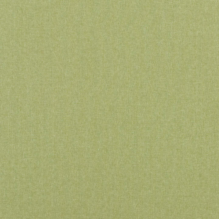 Carnival Plain Grass by Baker Lifestyle Fabric CARNIVAL POLYESTER - 54%;COTTON - 46% India HEAVY Horizontal: and Vertical: 55.16 - Fabric Carolina -