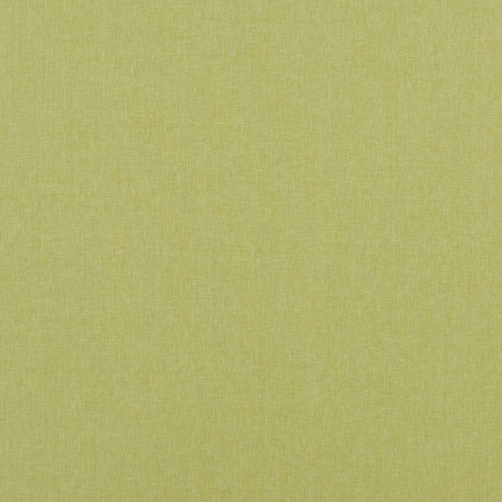 Carnival Plain Lime by Baker Lifestyle Fabric CARNIVAL POLYESTER - 54%;COTTON - 46% India - Horizontal: - and Vertical: - 55.16 - Fabric Carolina -