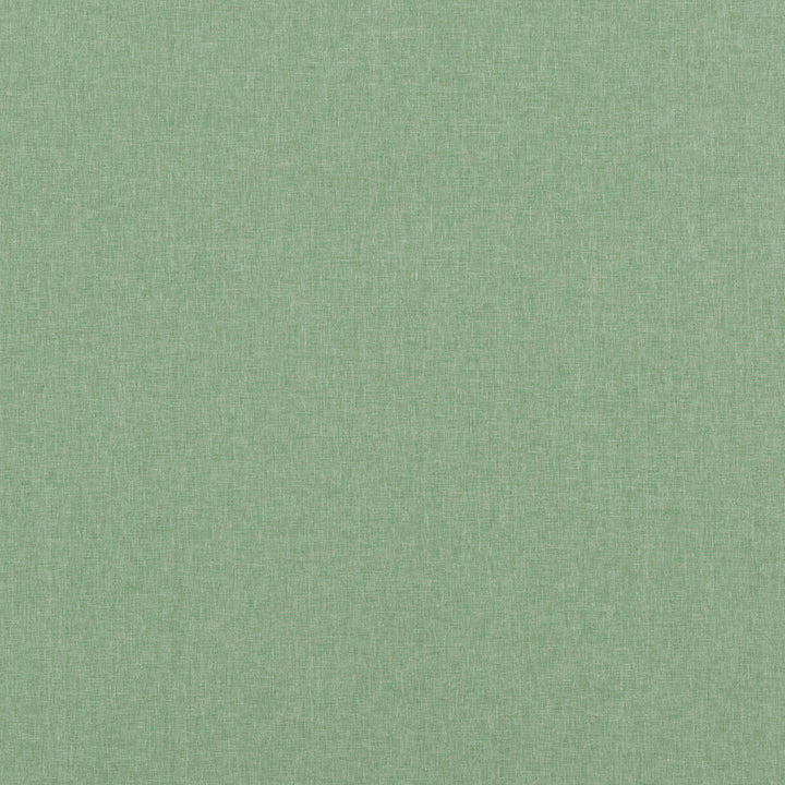 Carnival Plain Emerald by Baker Lifestyle Fabric CARNIVAL POLYESTER - 54%;COTTON - 46% India HEAVY Horizontal: and Vertical: 55.16 - Fabric Carolina -