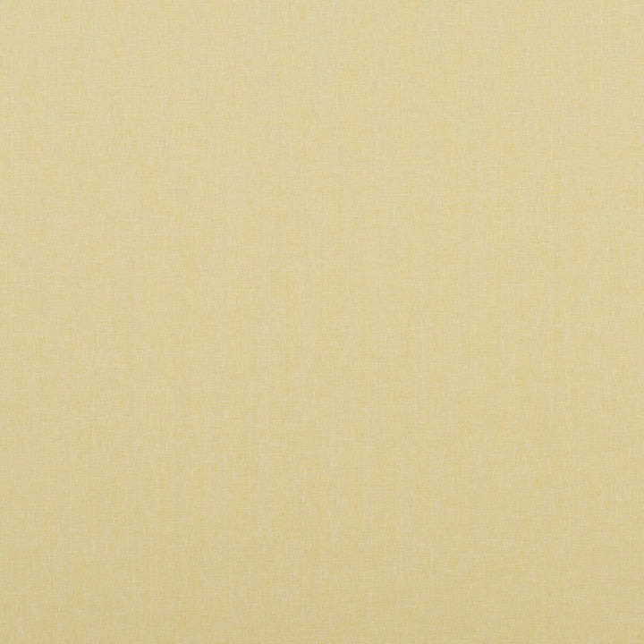 Carnival Plain Yellow by Baker Lifestyle Fabric Baker Lifestyle Fabric Carnival Plain YellowFabric CARNIVAL POLYESTER - 54%;COTTON - 46% India </p><p>Repeat: H: , V: 55.16 - Fabric Carolina -
