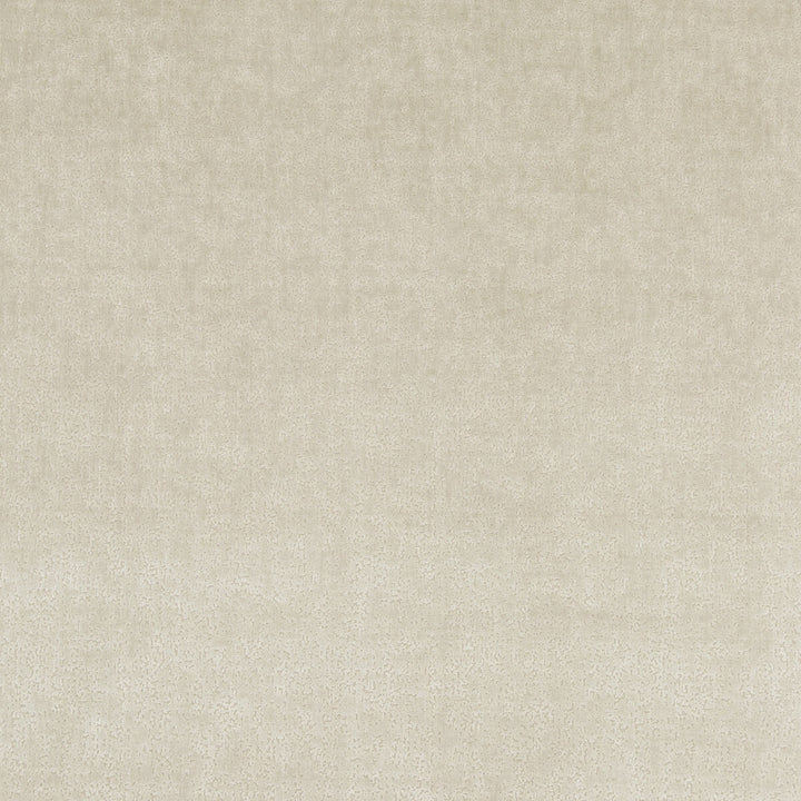 Tango Texture Parchment by Baker Lifestyle Fabric CARNIVAL VISCOSE - 75%;POLYESTER - 25% Belgium HEAVY Horizontal: 13.79 and Vertical: 21.67 53.978 - Fabric Carolina -
