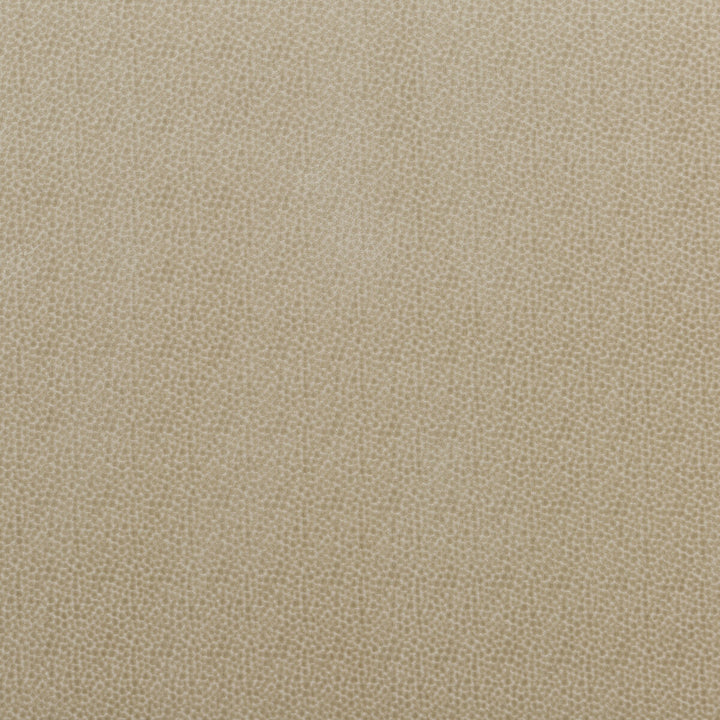 Salsa Spot Parchment by Baker Lifestyle Fabric CARNIVAL VISCOSE - 75%;POLYESTER - 25% Belgium HEAVY Horizontal: 2.758 and Vertical: 3.546 53.978 - Fabric Carolina -