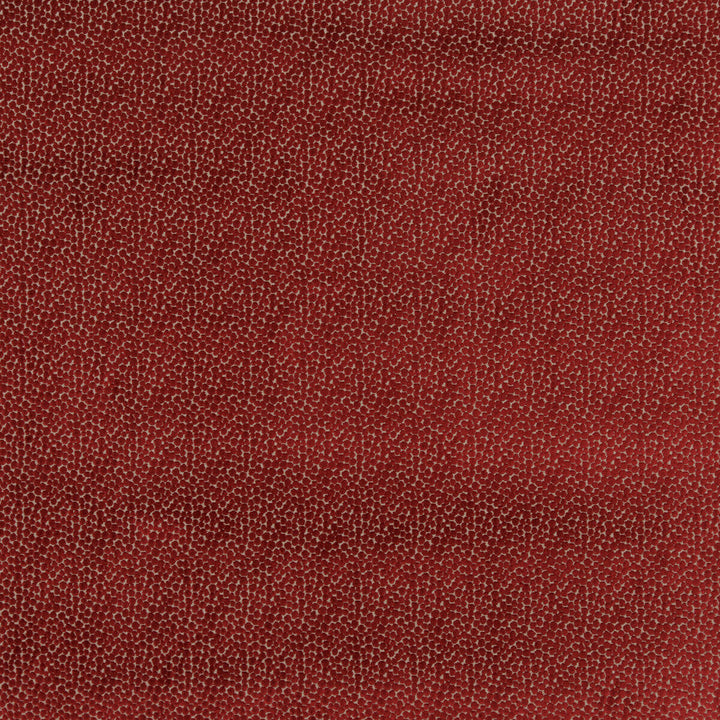 Salsa Spot Red by Baker Lifestyle Fabric Baker Lifestyle Fabric Salsa Spot RedFabric CARNIVAL VISCOSE - 75%;POLYESTER - 25% Belgium </p><p>Repeat: H: 2.758, V: 3.546 53.978 - Fabric Carolina -
