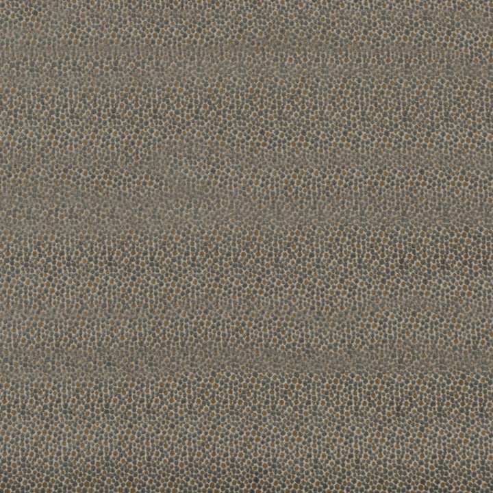 Salsa Two Spot Silver by Baker Lifestyle Fabric CARNIVAL VISCOSE - 75%;POLYESTER - 25% Belgium HEAVY Horizontal: 2.758 and Vertical: 3.546 53.978 - Fabric Carolina -
