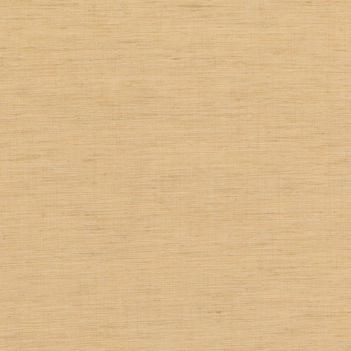Belgrave Sand by Baker Lifestyle Fabric PAVILION - BLEGRAVE NOTEBOOK POLYESTER - 100% India - Horizontal: - and Vertical: - 54.04104 - Fabric Carolina -