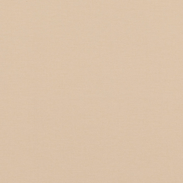 Pavilion Oyster by Baker Lifestyle Fabric PAVILION - BLEGRAVE NOTEBOOK COTTON - 65%;POLYESTER - 35% Turkey - Horizontal: - and Vertical: - 58.04408 - Fabric Carolina -