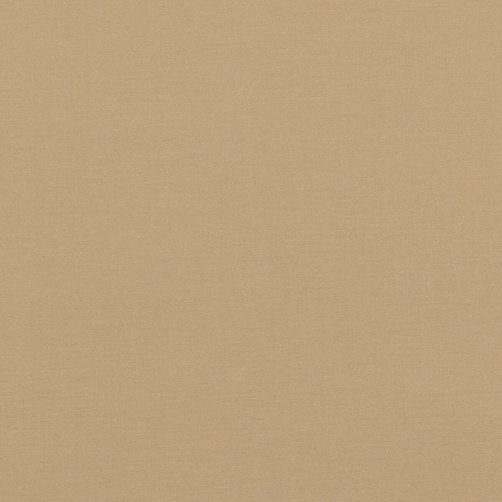 Pavilion Champagne by Baker Lifestyle Fabric PAVILION - BLEGRAVE NOTEBOOK COTTON - 65%;POLYESTER - 35% Turkey - Horizontal: - and Vertical: - 58.04408 - Fabric Carolina -