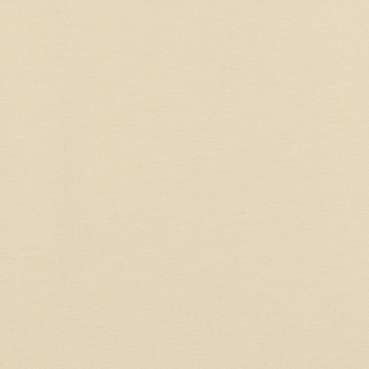 Pavilion Vanilla by Baker Lifestyle Fabric Baker Lifestyle Fabric Pavilion VanillaFabric PAVILION - BLEGRAVE NOTEBOOK COTTON - 65%;POLYESTER - 35% Turkey </p><p>Repeat: H: , V: 58.04408 - Fabric Carolina -