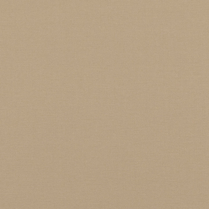 Pavilion Sand by Baker Lifestyle Fabric PAVILION - BLEGRAVE NOTEBOOK COTTON - 65%;POLYESTER - 35% Turkey Horizontal: and Vertical: 58.04408 - Fabric Carolina -