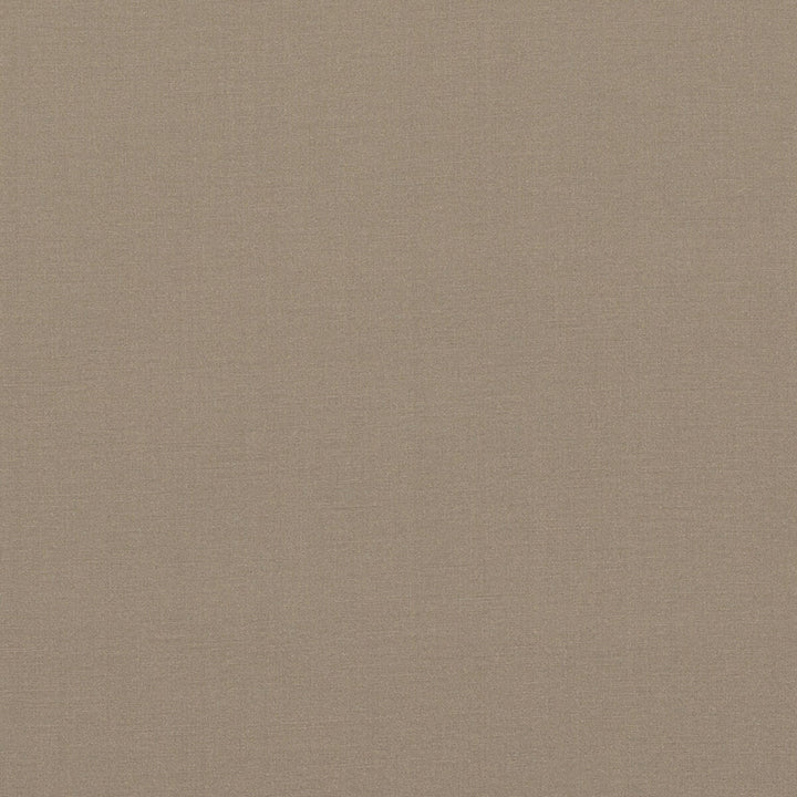 Pavilion Mole by Baker Lifestyle Fabric PAVILION - BLEGRAVE NOTEBOOK COTTON - 65%;POLYESTER - 35% Turkey - Horizontal: - and Vertical: - 58.04408 - Fabric Carolina -