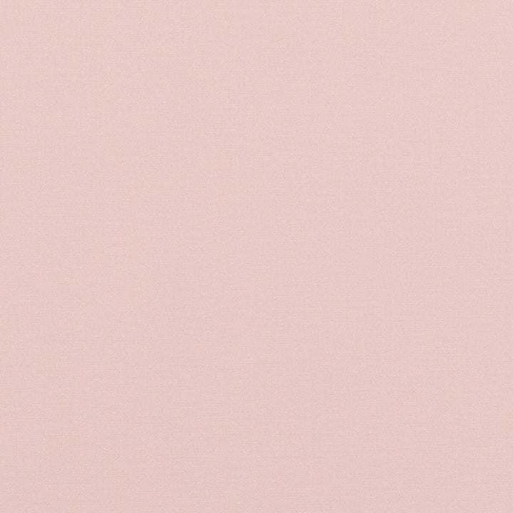 Pavilion Blush by Baker Lifestyle Fabric PAVILION - BLEGRAVE NOTEBOOK COTTON - 65%;POLYESTER - 35% Turkey Horizontal: and Vertical: 58.04408 - Fabric Carolina -
