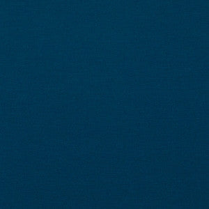 Pavilion Indigo by Baker Lifestyle Fabric