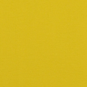 Pavilion Citrus by Baker Lifestyle Fabric