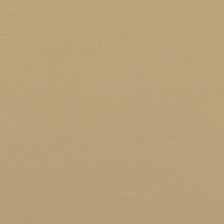 Pavilion Soft Gold by Baker Lifestyle Fabric PAVILION - BLEGRAVE NOTEBOOK COTTON - 65%;POLYESTER - 35% Turkey Horizontal: and Vertical: 58.04408 - Fabric Carolina -